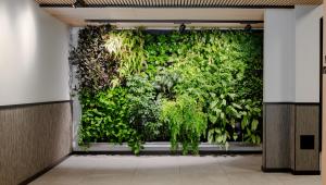 Grønnegata må ha innslag av grønt!