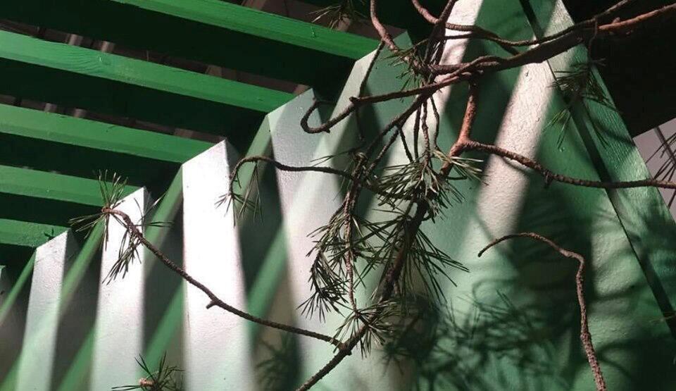 Oslogruppen: Invitasjon til Bio_Affair 2019